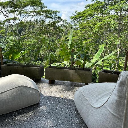Tirta Asri Ubud Villa Esterno foto