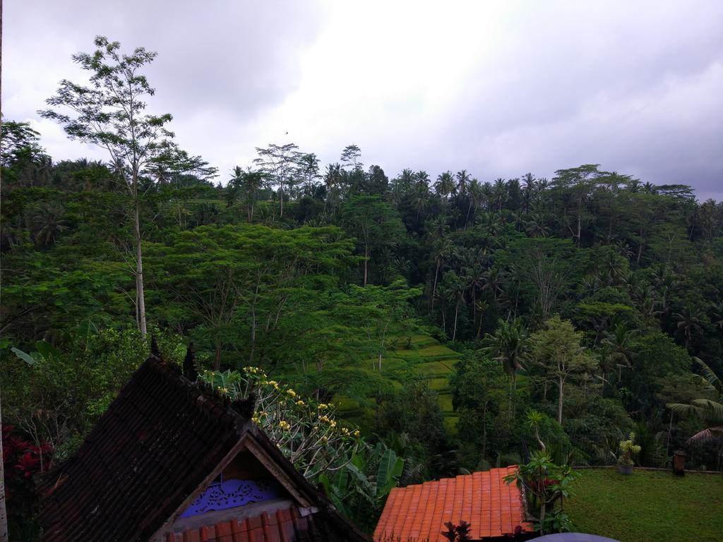 Tirta Asri Ubud Villa Esterno foto