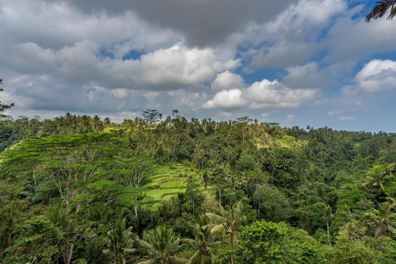 Tirta Asri Ubud Villa Esterno foto