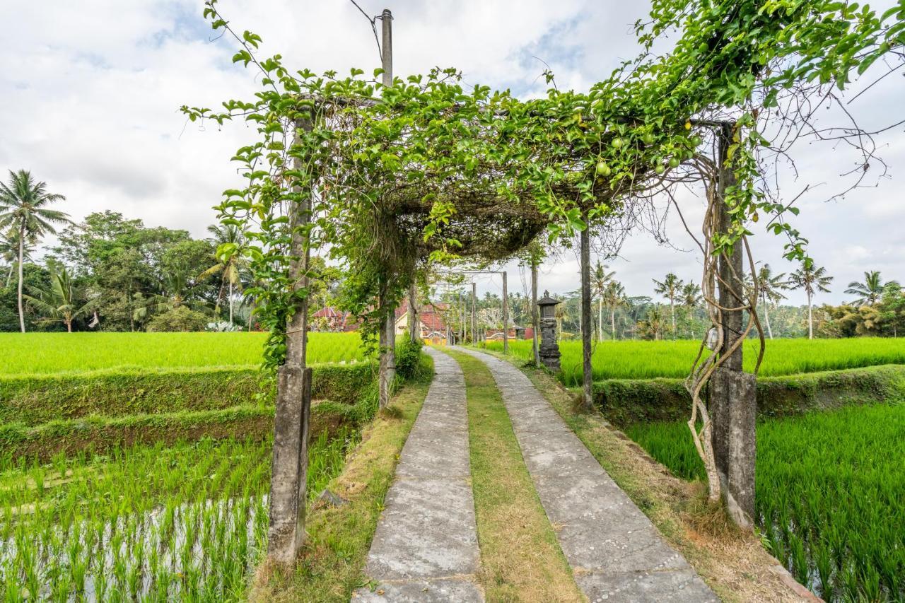 Tirta Asri Ubud Villa Esterno foto