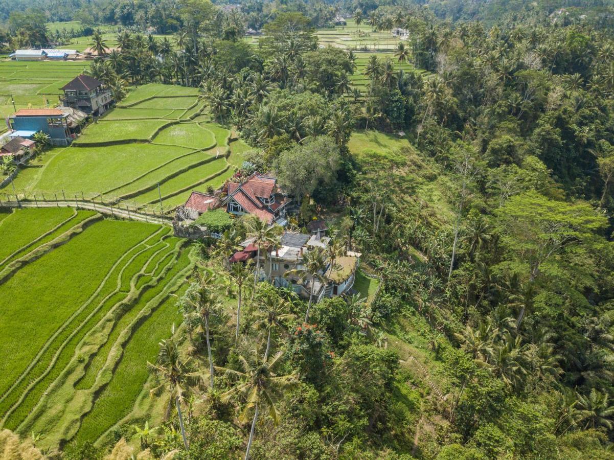 Tirta Asri Ubud Villa Esterno foto